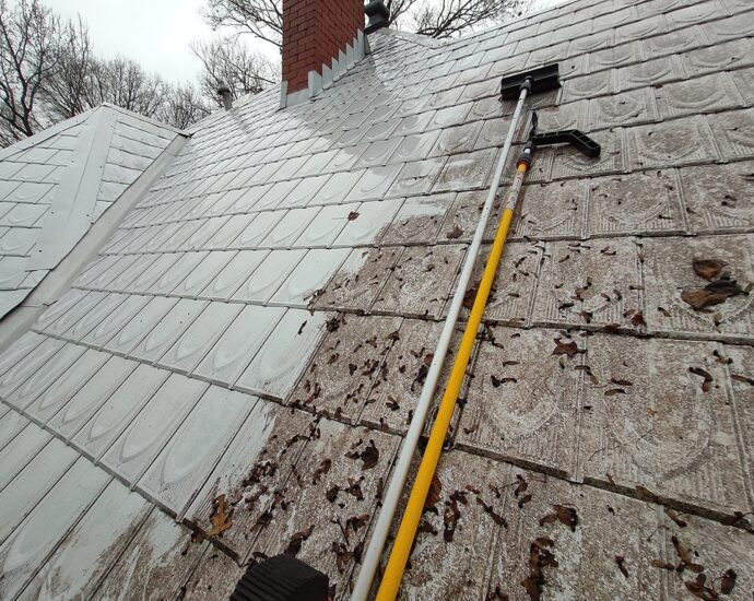 Roof Stain Cleaning Guide