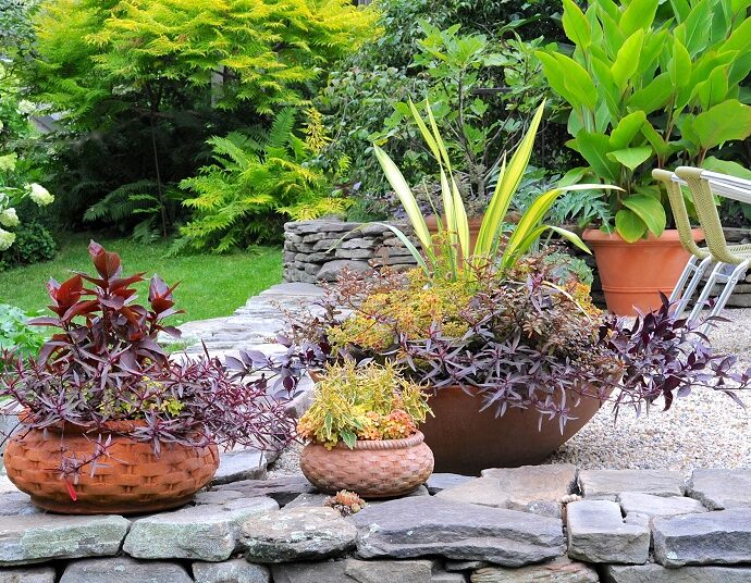 Benefits of Container Gardening