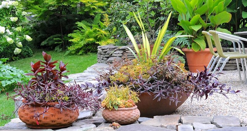 Benefits of Container Gardening