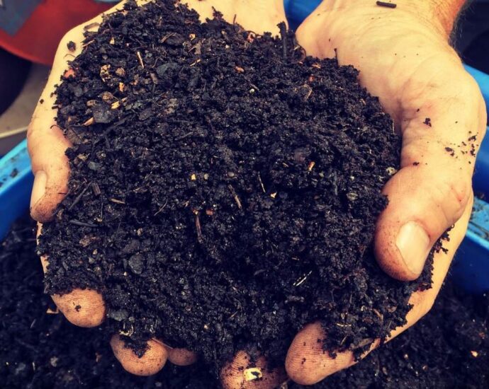 Benefits of Compost and Peat Moss Mix for Your Garden