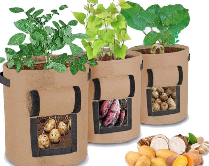 How to Use Potato Grow Bags