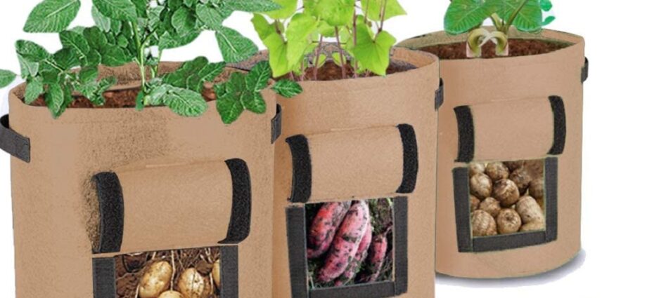 How to Use Potato Grow Bags