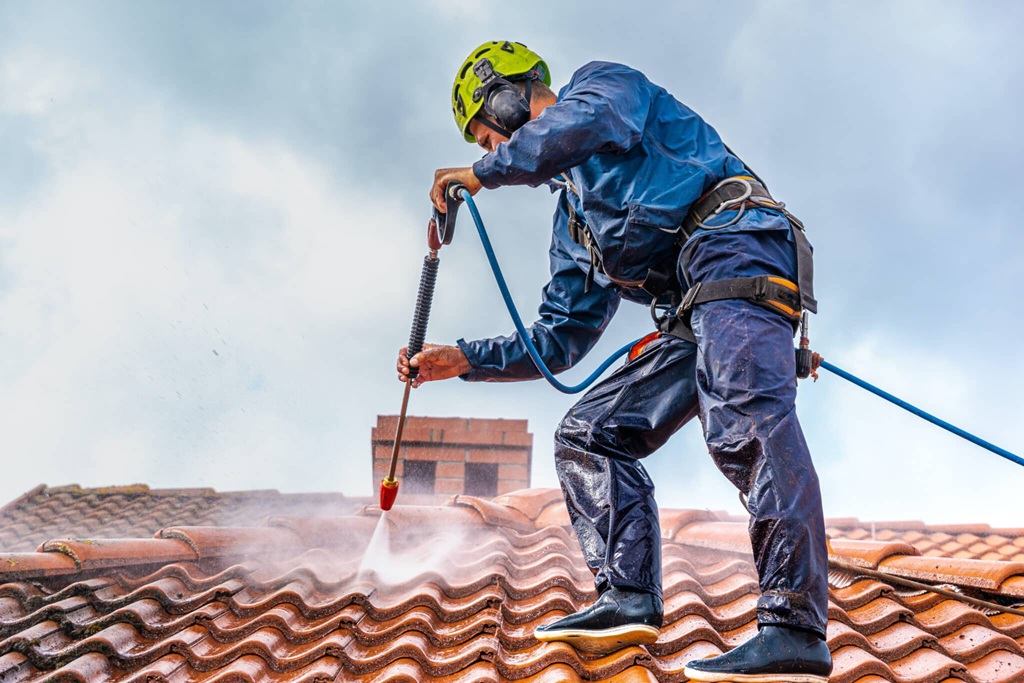 Eradicating Roof Mold