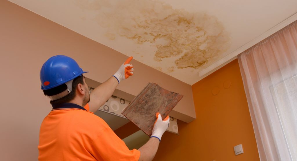 Can a ceiling leak cause mold?