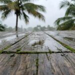 Miami lanai timber floor moisture damage inspection
