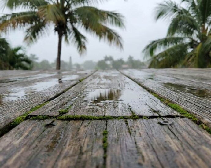 Miami lanai timber floor moisture damage inspection