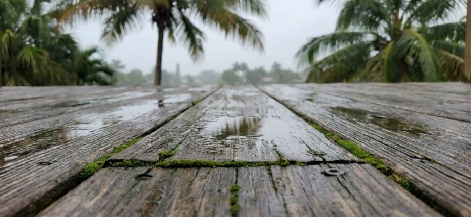 Miami lanai timber floor moisture damage inspection