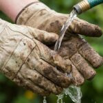 Hand washing leather gardening gloves with saddle soap