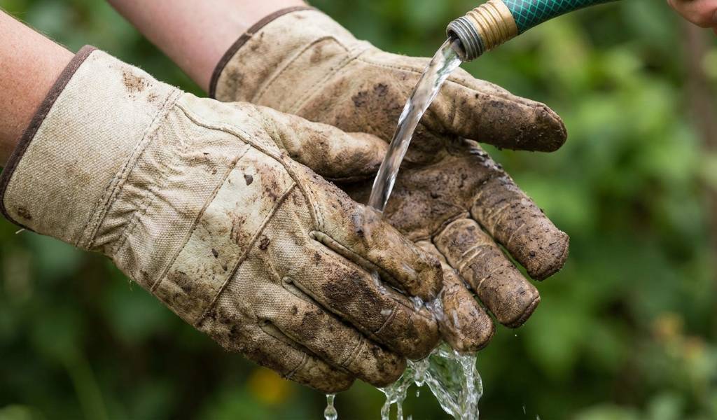 Hand washing leather gardening gloves with saddle soap
