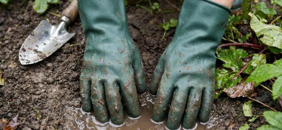 Insulated waterproof gloves for winter pruning