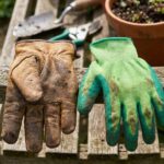 Leather gardening gloves next to rubber coated gardening gloves